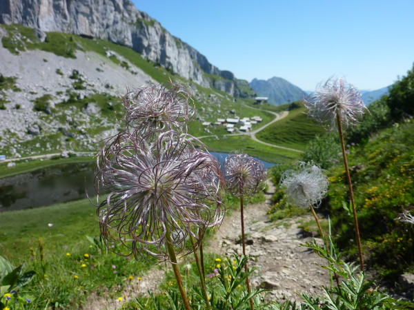 Leysin has excellent local hikes pre and post mountaineering