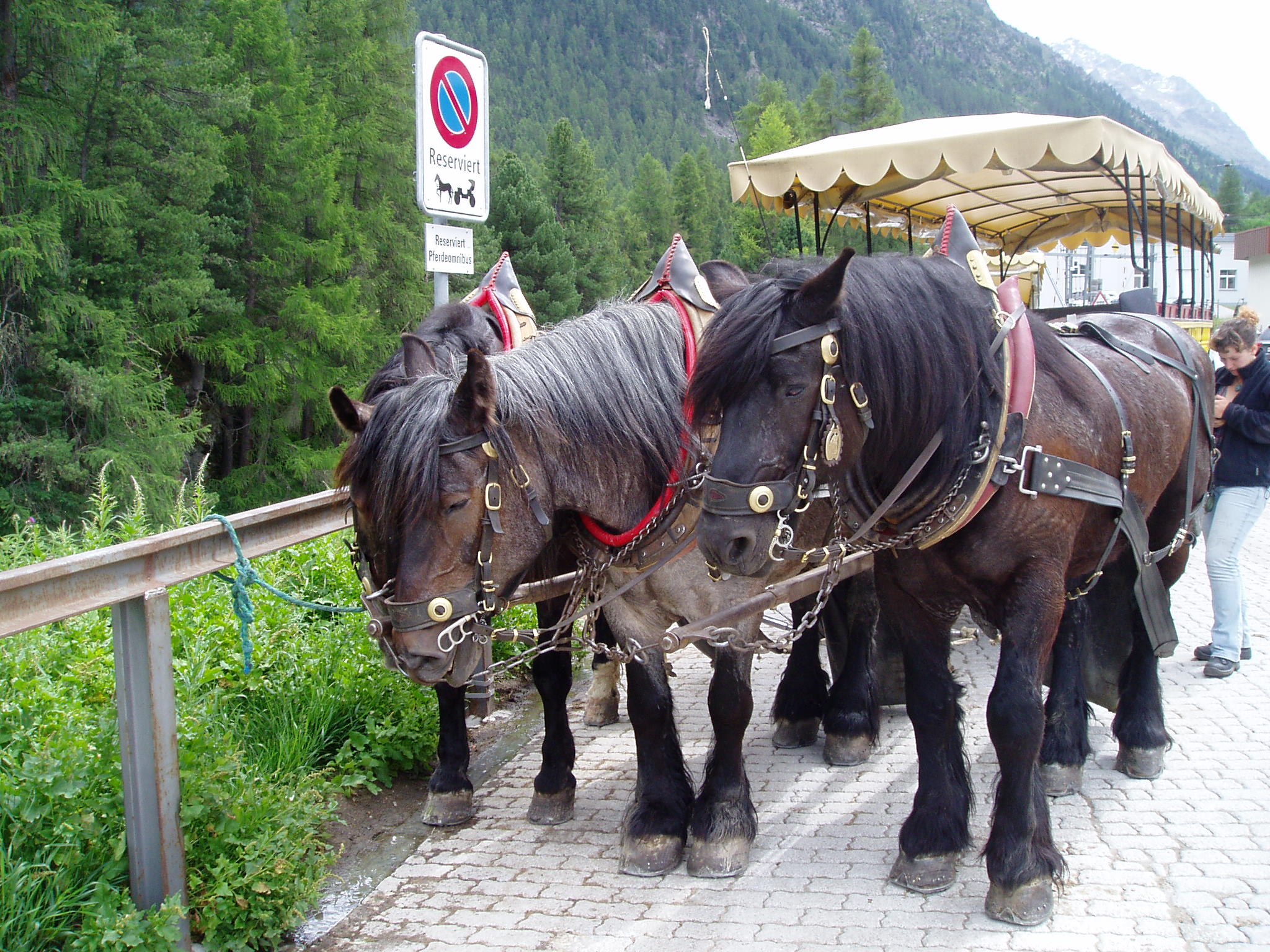 alpine trekking transport Switzerland