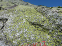 Granite slabs rock climbing Grimsel Switzerland